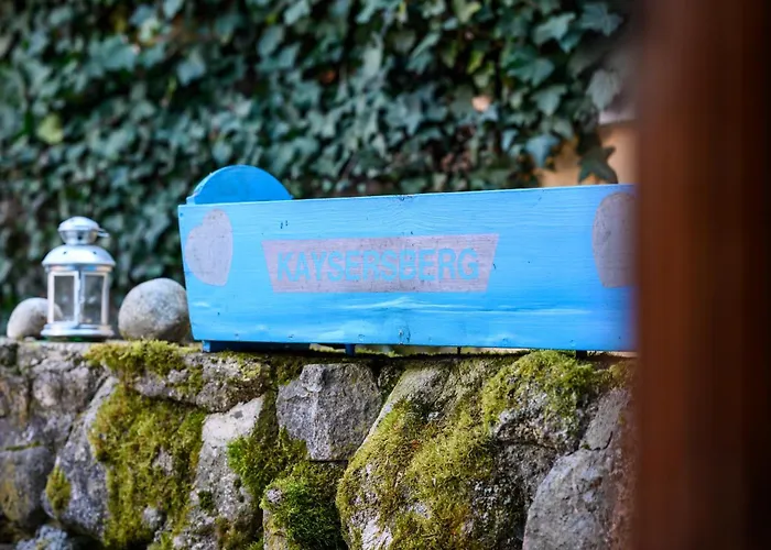 Appartamento Au Bleuet à - Kaysersberg-Vignoble